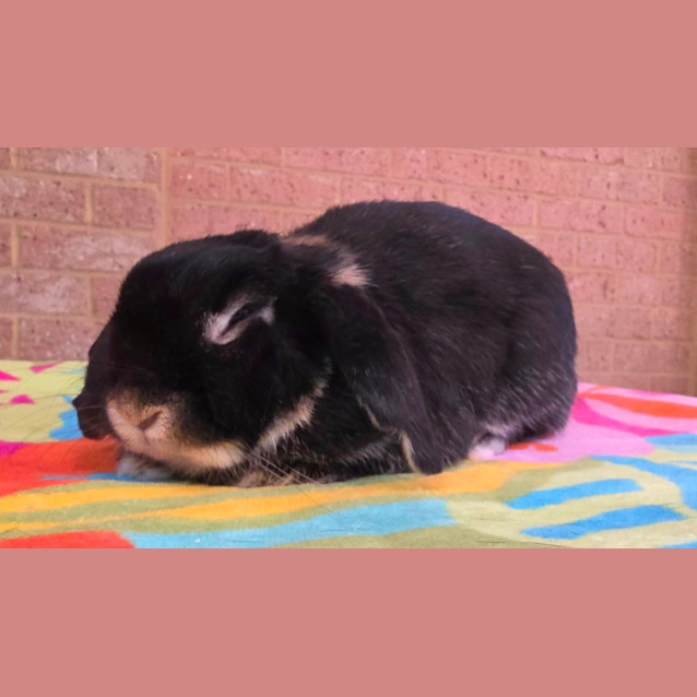 Photo of Eleanor (Ellie) *On Trial*