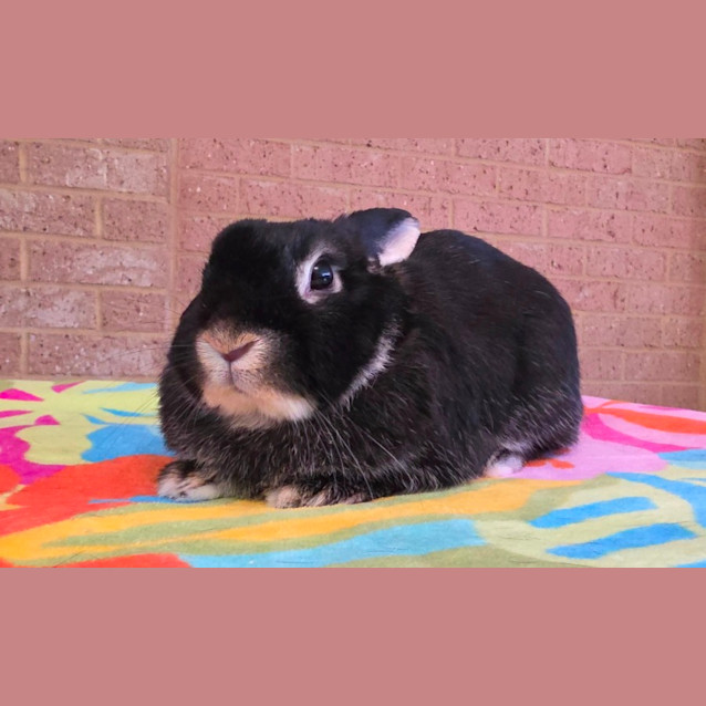 Photo of Eleanor (Ellie) *On Trial*