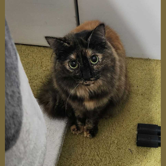 Photo of Savannah & Gretel🌷🌷