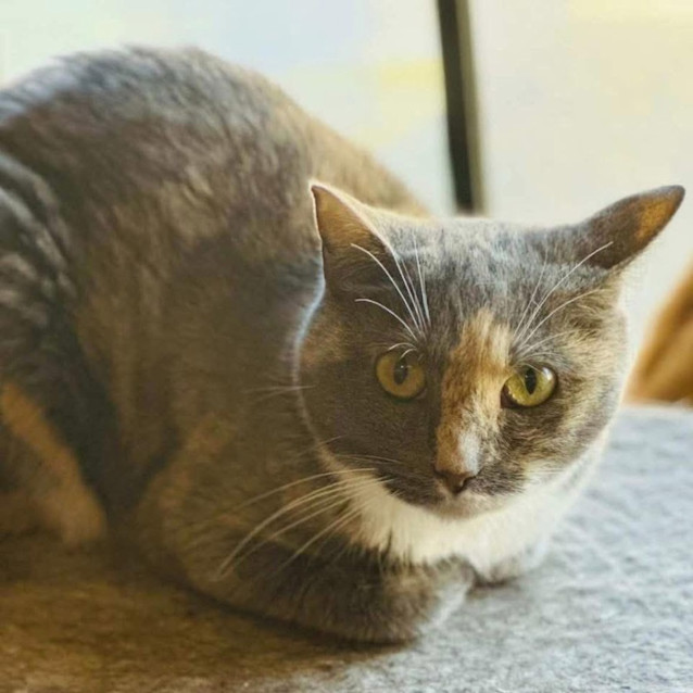 Photo of 5045   Lilibet