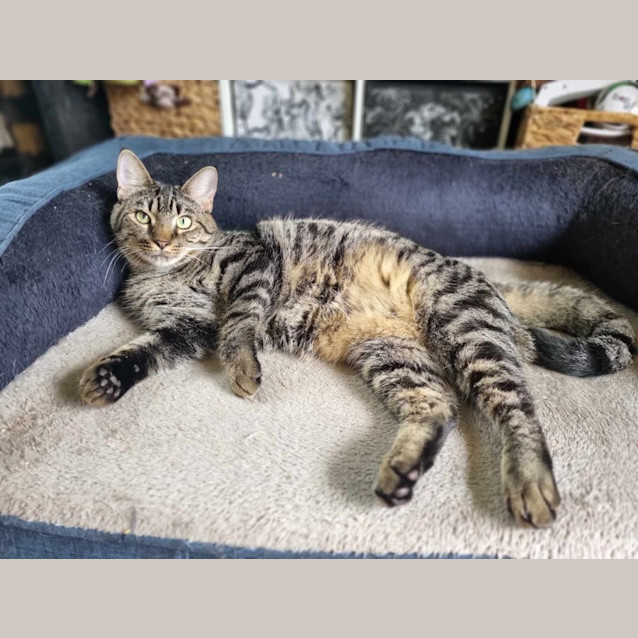 Photo of Sunny