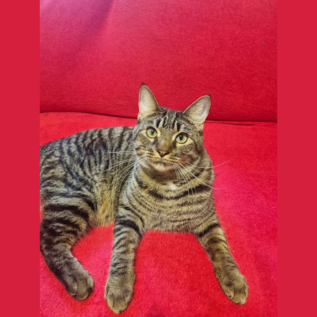 Photo of Sunny
