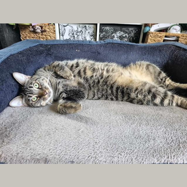 Photo of Sunny