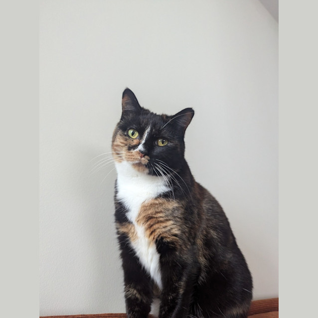 Photo of Angel