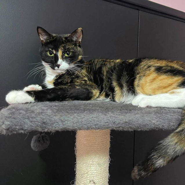 Photo of 8052   Ariel