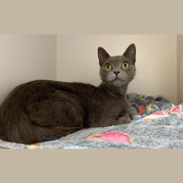 Photo of Quasi