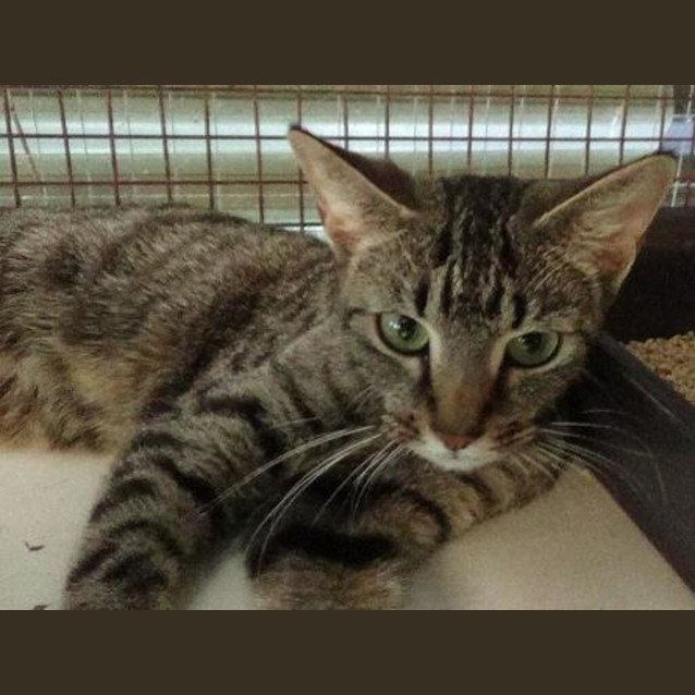 Photo of Twinky
