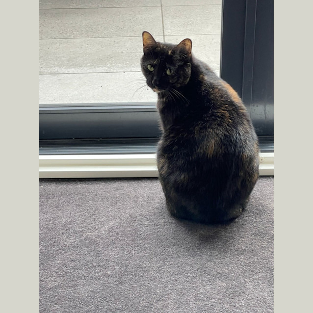 Photo of Hazel