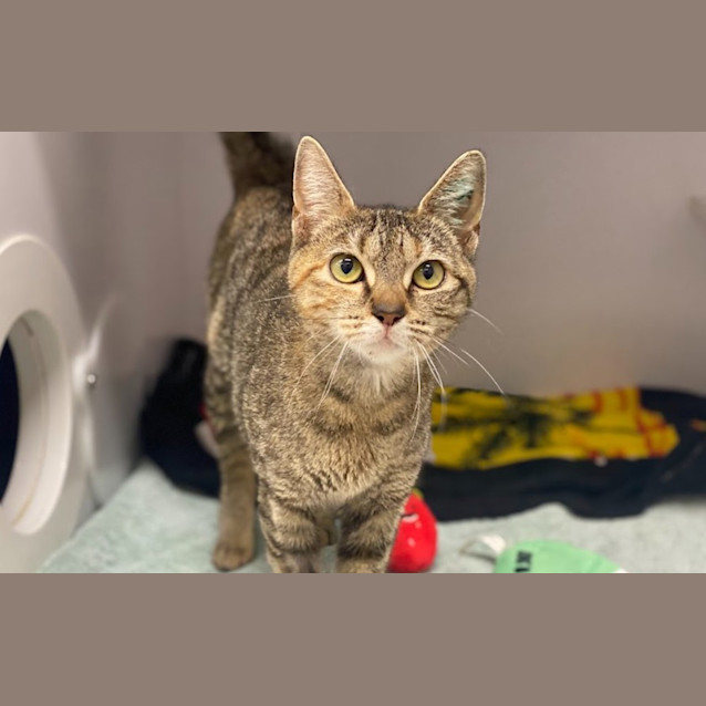Photo of Luna