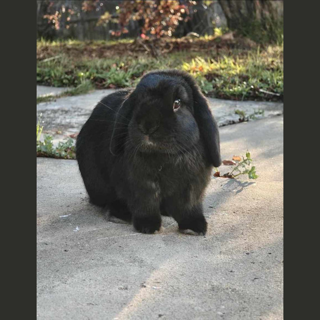 Photo of Ruby Destiny & Quinn