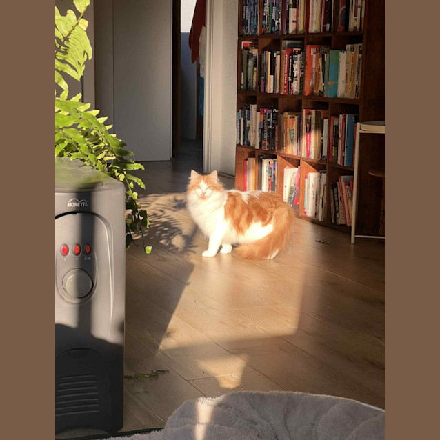 Photo of Wendy & Tina