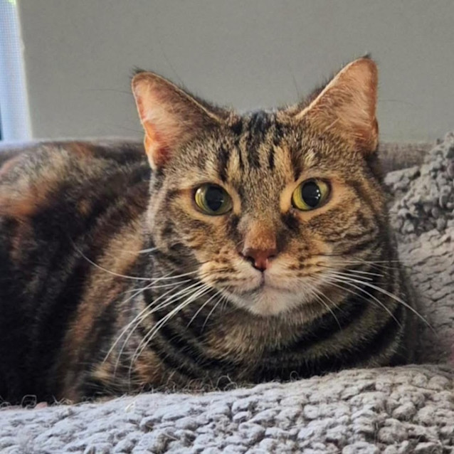 Photo of 8253   Kenzie