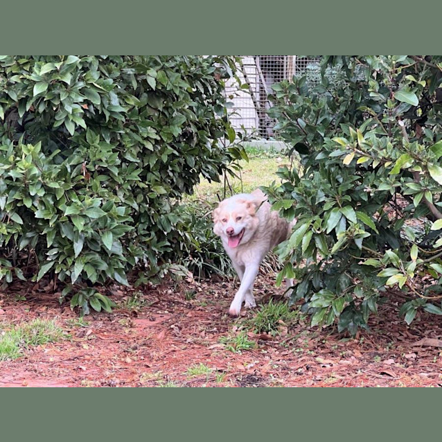 Photo of Mickey Elphinstone