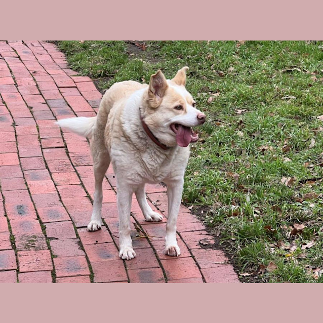 Photo of Mickey Elphinstone