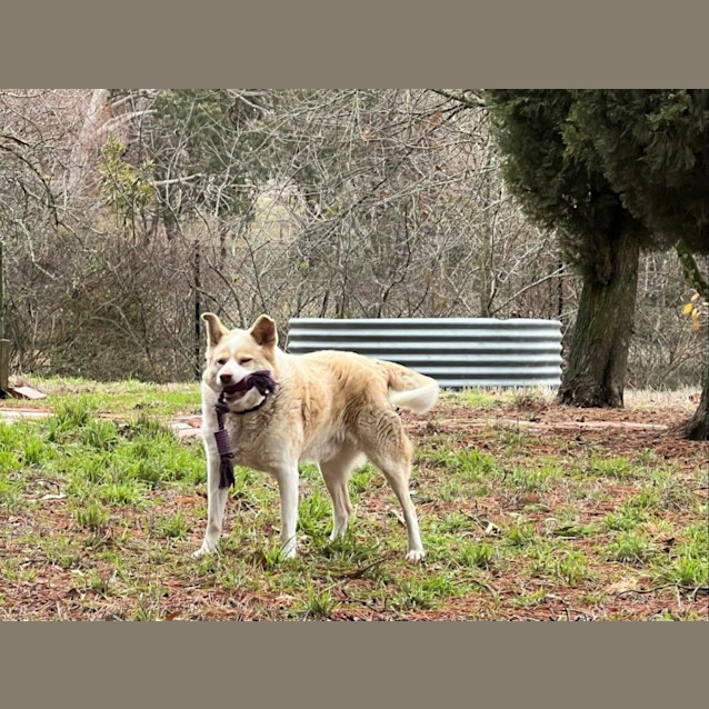 Photo of Mickey Elphinstone