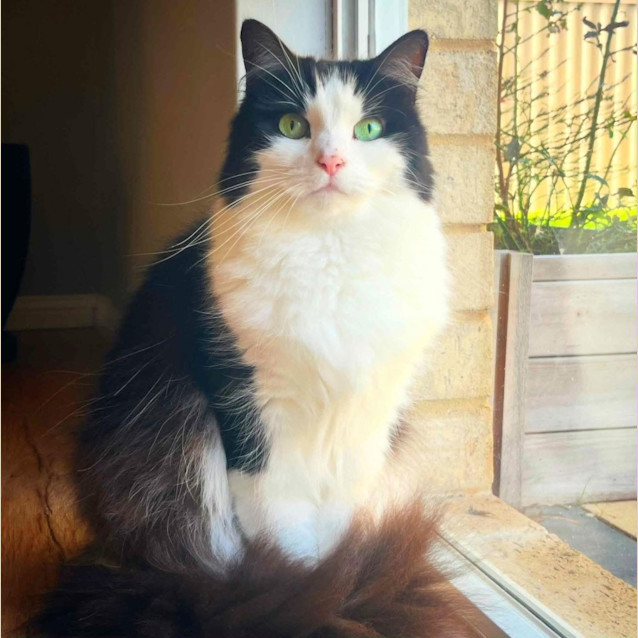 Photo of 5379   Devon