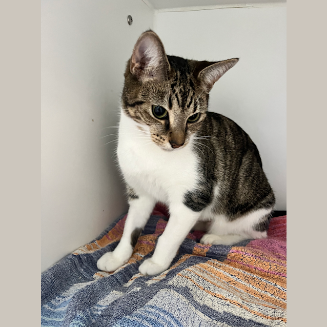 Photo of Maggie