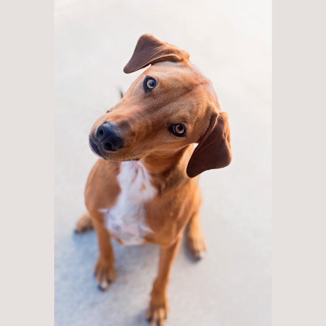 Photo of Jack