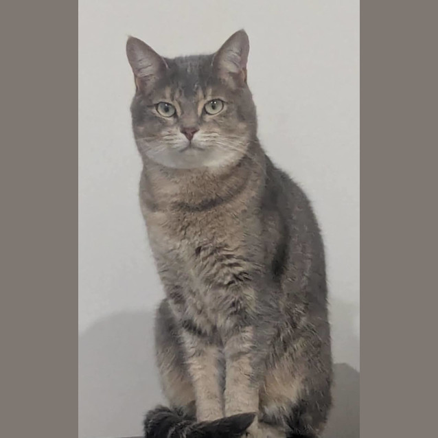 Photo of Josie 