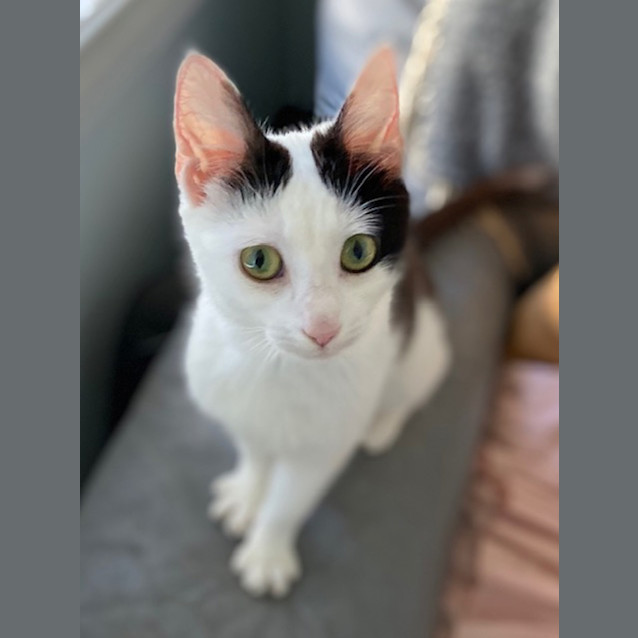 Photo of Daisy