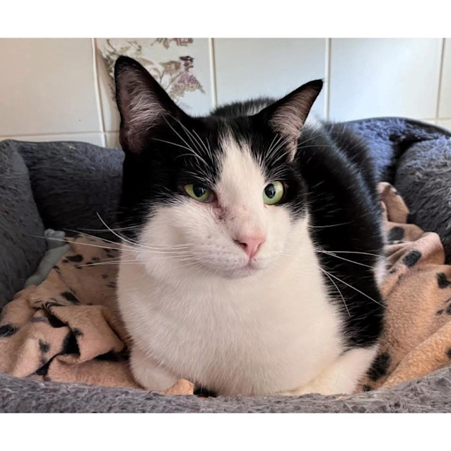 Photo of 9005   Galão