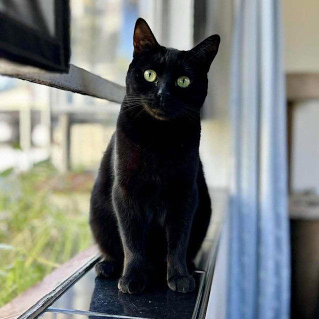 Photo of 8041   Noodle