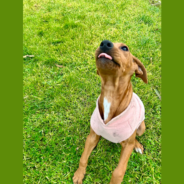 Photo of Eloise