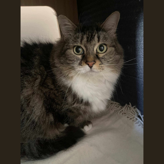 Photo of Willow