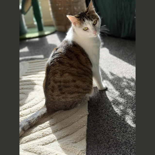 Photo of Pixie 🌺🌺