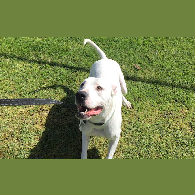 Photo of Zooper Dooper