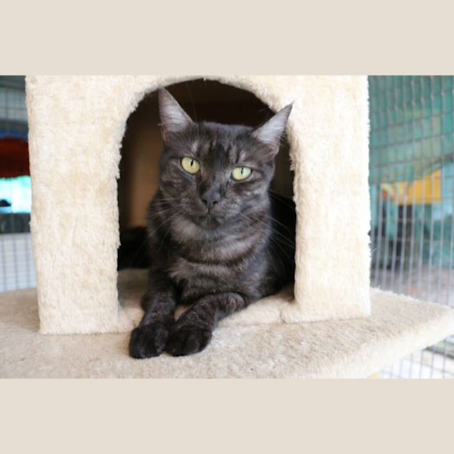 Photo of Princess