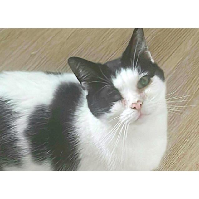 Photo of 6697   Luca