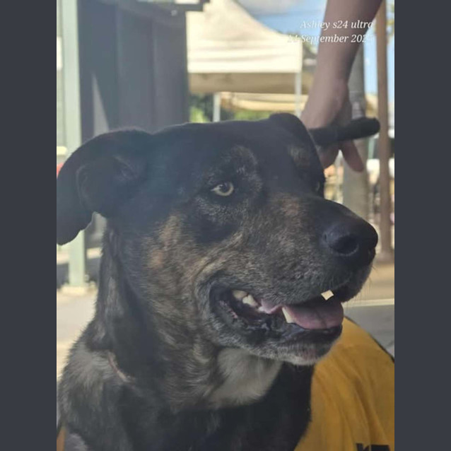 Photo of Reon