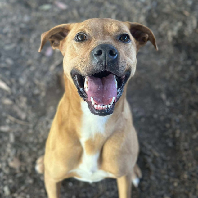 Photo of Max