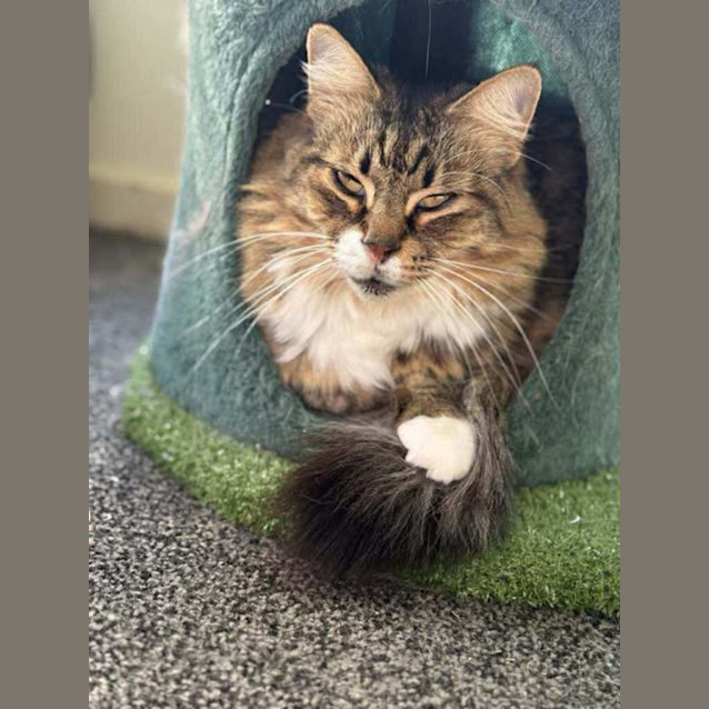 Photo of Sissy 🌹🌹