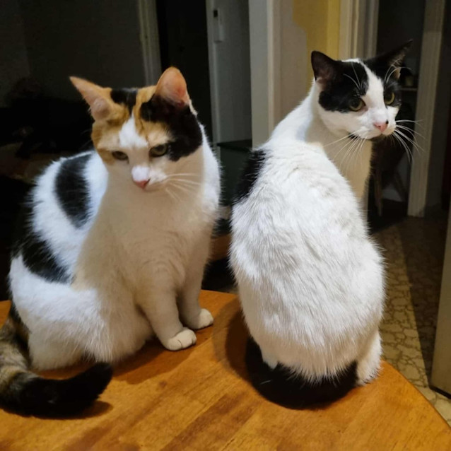 Photo of Inez And James