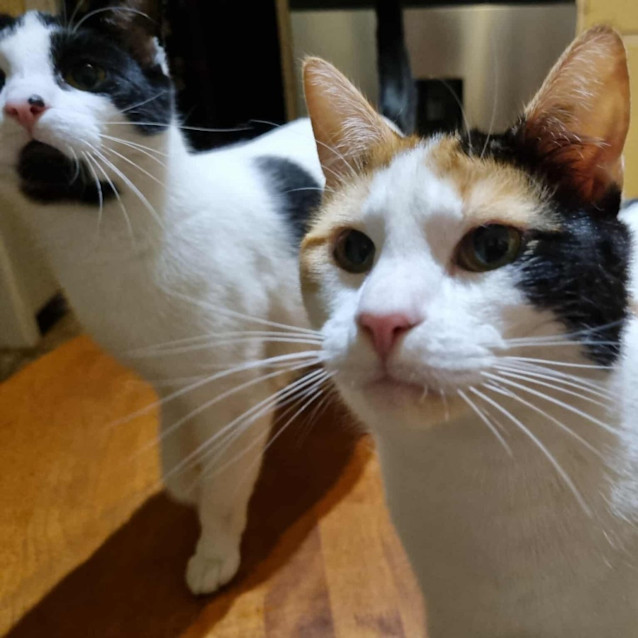 Photo of Inez And James