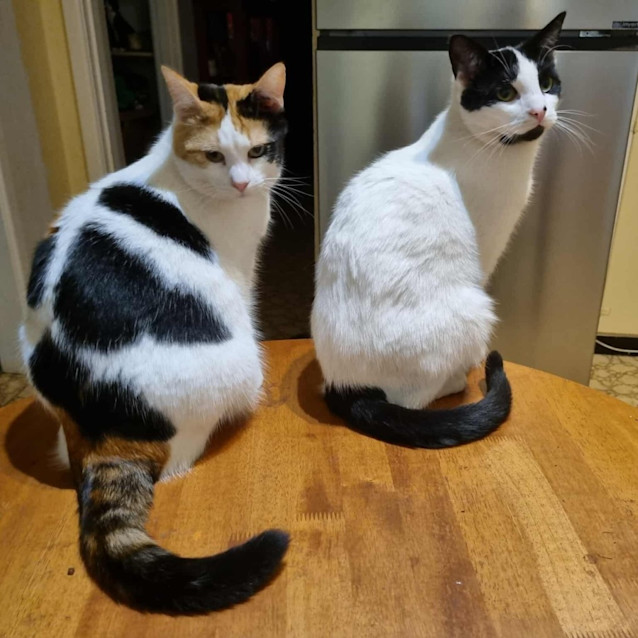 Photo of Inez And James