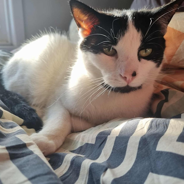 Photo of Inez And James