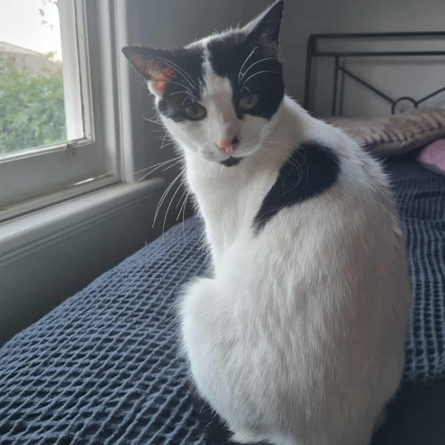 Photo of Inez And James