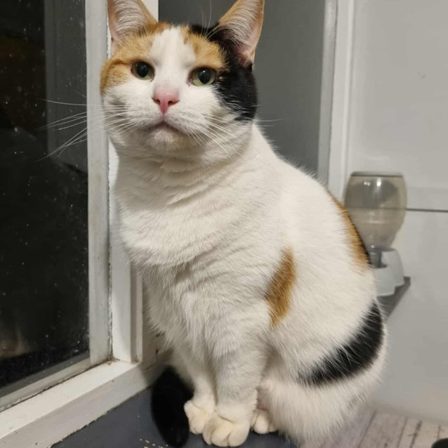 Photo of Inez And James