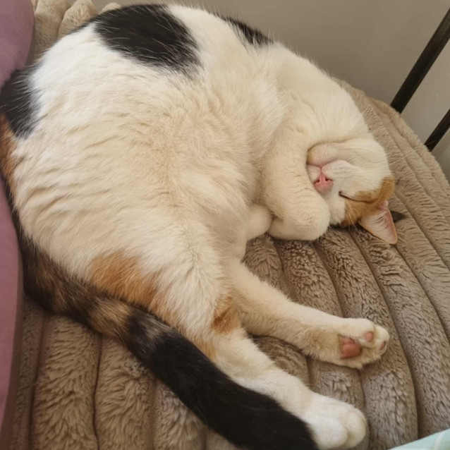 Photo of Inez And James