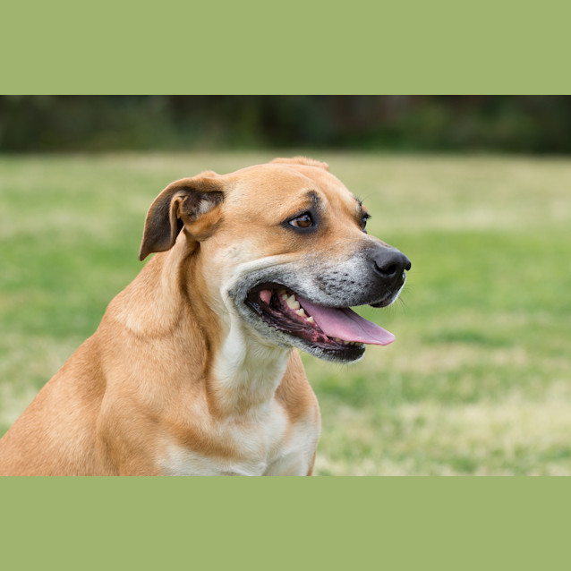 Photo of Mabel
