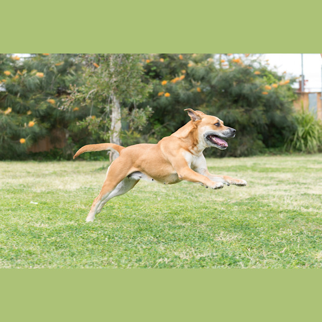 Photo of Mabel