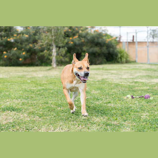 Photo of Mabel