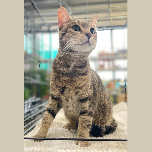 Photo of Kaz