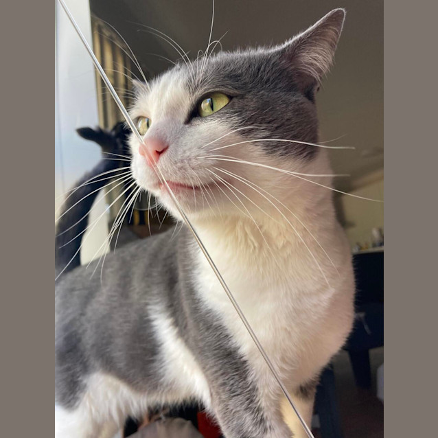 Photo of Finn