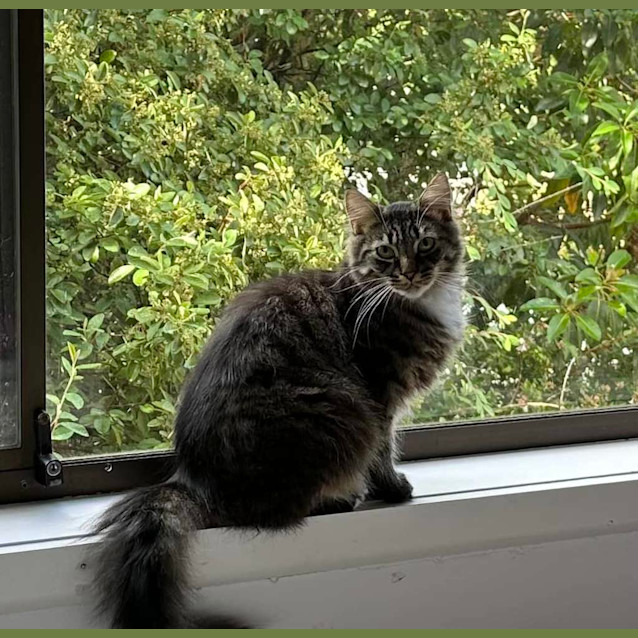 Photo of George