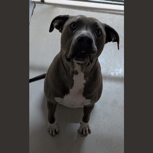 Photo of Storm