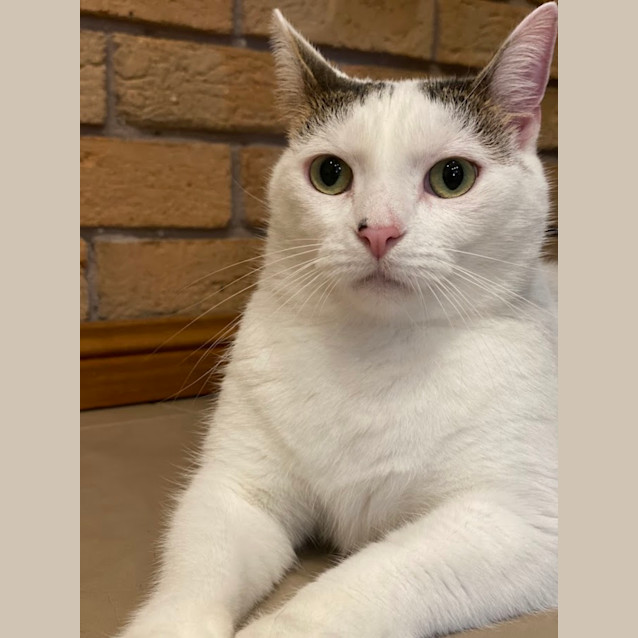 Photo of Jewel